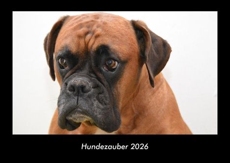 Tobias Becker: Hundezauber 2026 Fotokalender DIN A3, Kalender