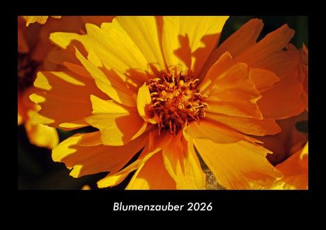 Tobias Becker: Blumenzauber 2026 Fotokalender DIN A3, Kalender