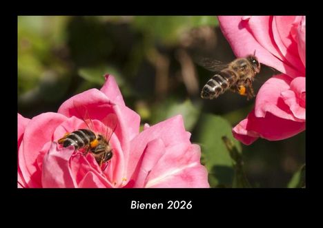 Tobias Becker: Bienen 2026 Fotokalender DIN A3, Kalender