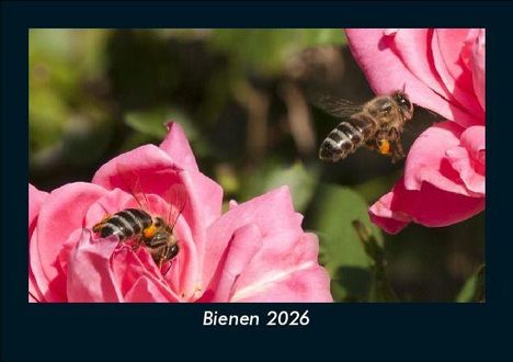 Tobias Becker: Bienen 2026 Fotokalender DIN A5, Kalender