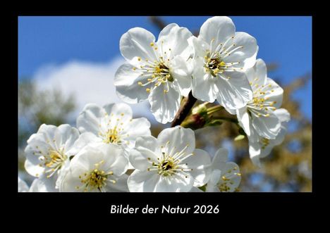Tobias Becker: Bilder der Natur 2026 Fotokalender DIN A3, Kalender