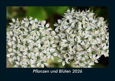Tobias Becker: Pflanzen und Blüten 2026 Fotokalender DIN A5, Kalender