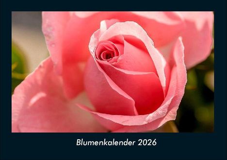 Tobias Becker: Blumenkalender 2026 Fotokalender DIN A4, Kalender