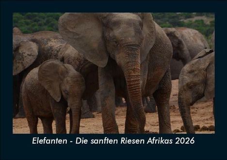 Tobias Becker: Elefanten - Die sanften Riesen Afrikas 2026 Fotokalender DIN A5, Kalender