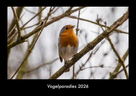 Tobias Becker: Vogelparadies 2026 Fotokalender DIN A3, Kalender