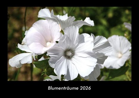 Tobias Becker: Blumenträume 2026 Fotokalender DIN A3, Kalender