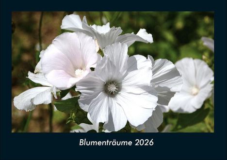 Tobias Becker: Blumenträume 2026 Fotokalender DIN A4, Kalender