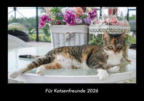 Tobias Becker: Für Katzenfreunde 2026 Fotokalender DIN A3, Kalender