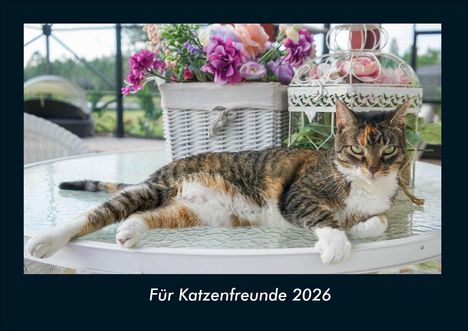 Kevin Heber: Für Katzenfreunde 2026 Fotokalender DIN A4, Kalender