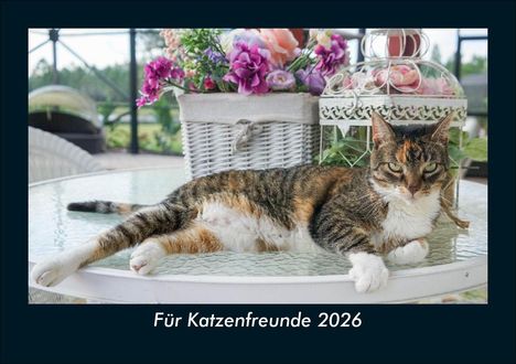 Kevin Heber: Für Katzenfreunde 2026 Fotokalender DIN A5, Kalender