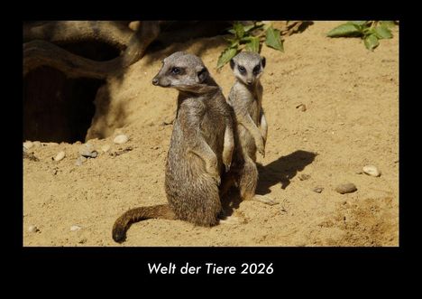Tobias Becker: Welt der Tiere 2026 Fotokalender DIN A3, Kalender