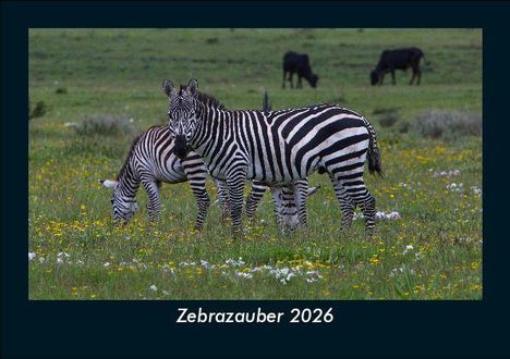 Tobias Becker: Zebrazauber 2026 Fotokalender DIN A5, Kalender