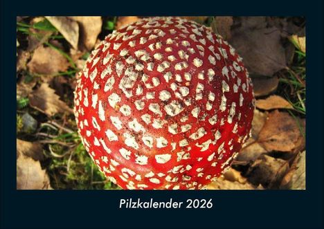 Tobias Becker: Pilzkalender 2026 Fotokalender DIN A4, Kalender