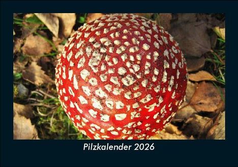Tobias Becker: Pilzkalender 2026 Fotokalender DIN A5, Kalender