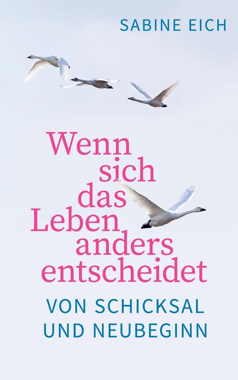 Sabine Eich: Wenn sich das Leben anders entscheidet, Buch
