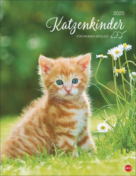 Katzenkinder Posterkalender 2025, Kalender
