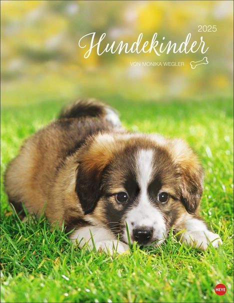 Hundekinder Posterkalender 2025, Kalender