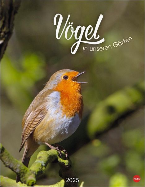 Vögel in unseren Gärten Posterkalender 2025, Kalender