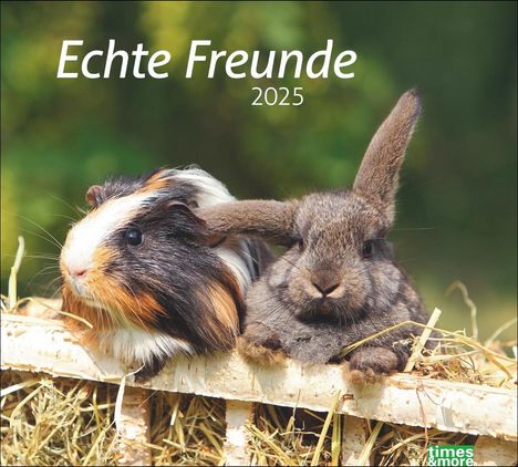 Echte Freunde Bildkalender 2025, Kalender