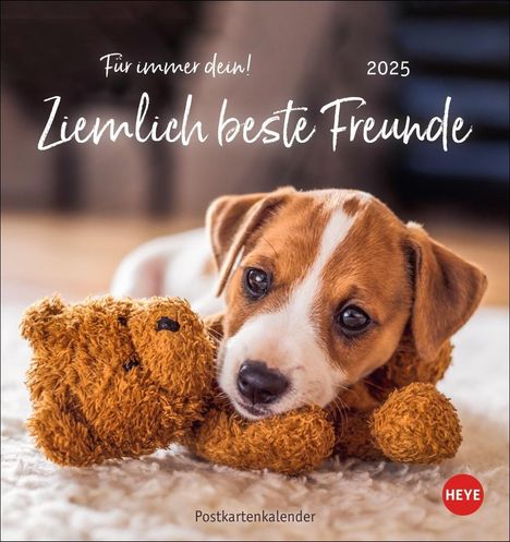 Ziemlich beste Freunde Postkartenkalender 2025 - Für immer dein, Kalender