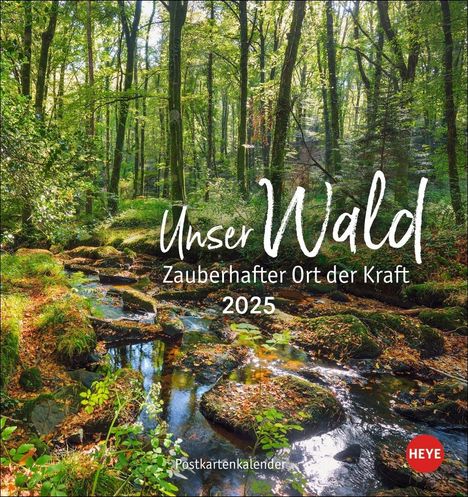 Unser Wald Postkartenkalender 2025 - zauberhafter Ort der Kraft, Kalender