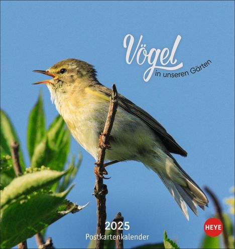 Vögel in unseren Gärten Postkartenkalender 2025, Kalender