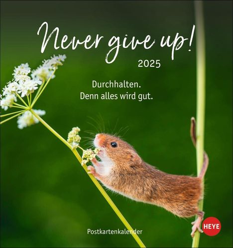 Never give up! Postkartenkalender 2025, Kalender