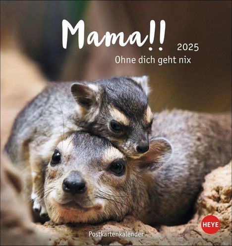 Mama! Postkartenkalender 2025 - Ohne dich geht nix!, Kalender