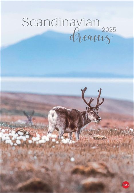 Scandinavian Dreams Posterkalender 2025, Kalender