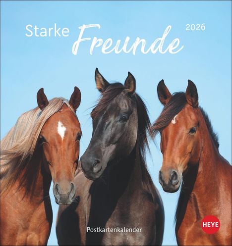 Pferde Postkartenkalender 2026 - Starke Freunde, Kalender