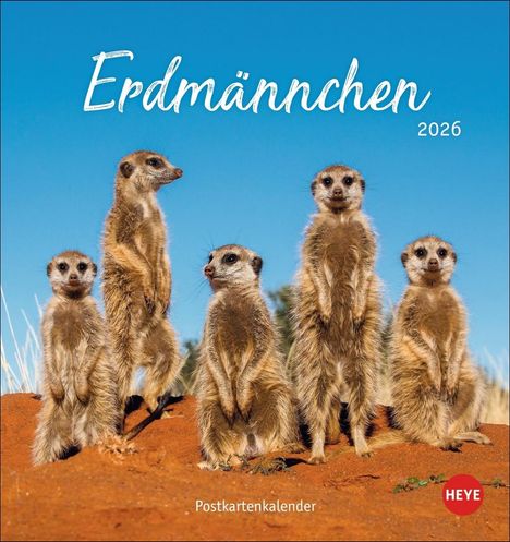 Erdmännchen Postkartenkalender 2026, Kalender