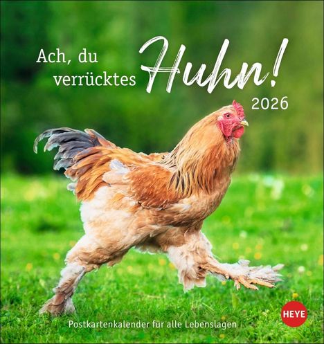 Hühner Postkartenkalender 2026 - Ach, du verrücktes Huhn!, Kalender