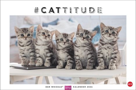 Whiskas Katzenkalender 2026, Kalender