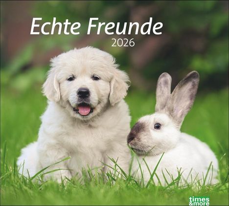 times&more Echte Freunde Bildkalender 2026, Kalender