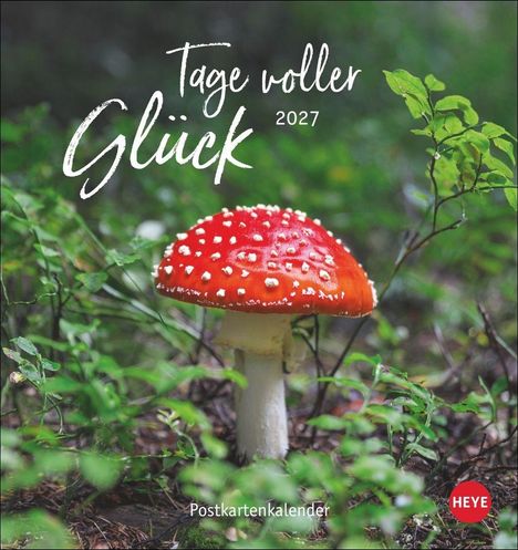 "Tage voller Glück 2027. Postkartenkalender. Heye. Ein roter Fliegenpilz mit weißen Punkten im Grünen."