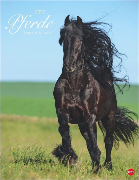 2027, Pferde, Sabine Stuewer. Ein schwarzes Pferd galoppiert dynamisch auf einer Wiese.