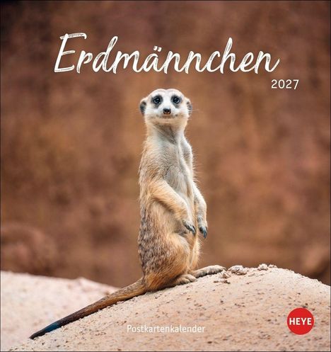 Text: „Erdmännchen 2027“, „Postkartenkalender“. Ein Erdmännchen steht aufrecht auf einem Erdwall, im Hintergrund brauner Sand.