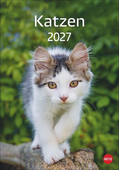 Text: Katzen 2027. Ein junges Kätzchen mit weißem und getigertem Fell streift neugierig auf einem Baumstamm im Grünen.