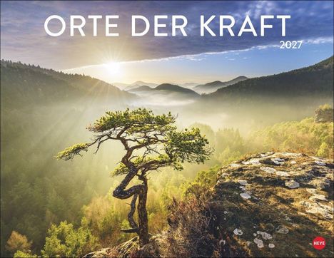 "ORTE DER KRAFT 2027", ein einzelner Baum ragt auf Felsen empor, im Hintergrund Nebel über Wäldern bei Sonnenaufgang.
