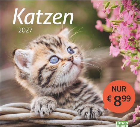"Katzen 2027. NUR € 8,99." Ein Kätzchen schaut neugierig nach oben, daneben rosa Blüten.
