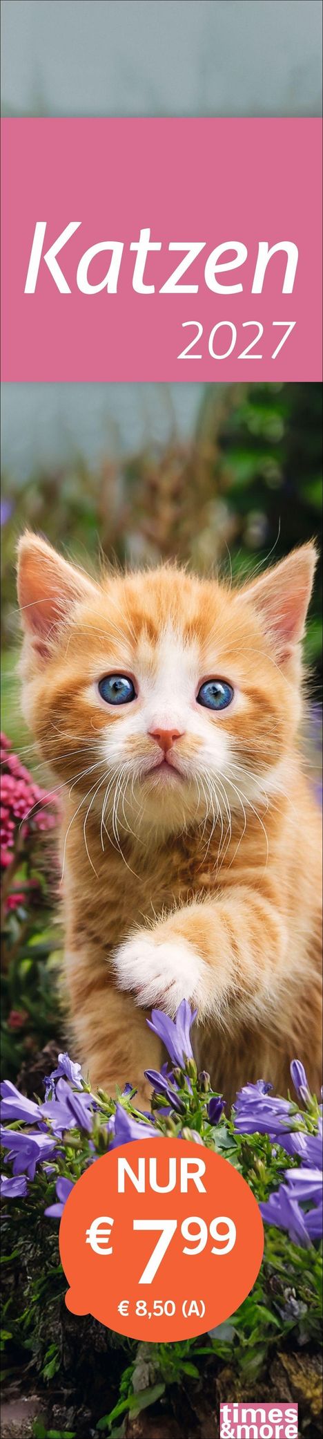 Text: "Katzen 2027", "NUR € 7,99", "€ 8,50 (A)". Ein junges, orange-weißes Kätzchen sitzt zwischen lila Blumen.