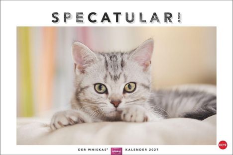 "SPECATULAR!" und "Der Whiskas® Kalender 2027". Eine grau-weiße Katze schaut aufmerksam nach vorne.