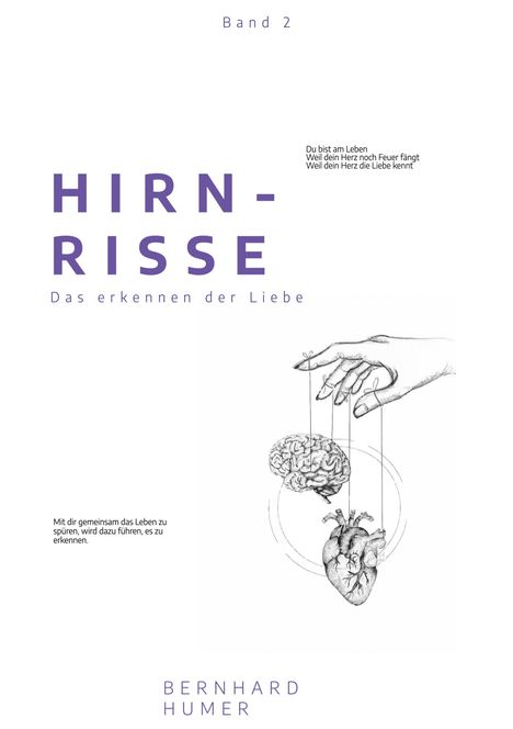 Bernhard Humer: Hirnrisse, Buch