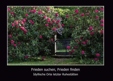 Christel Schweser: Frieden suchen, Frieden finden, Buch