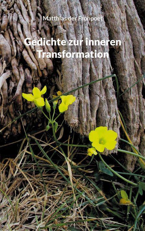 Matthias Der Frohpoet: Gedichte zur inneren Transformation, Buch