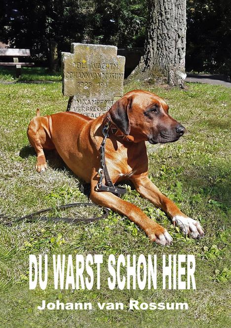 Johann van Rossum: Du warst schon hier, Buch