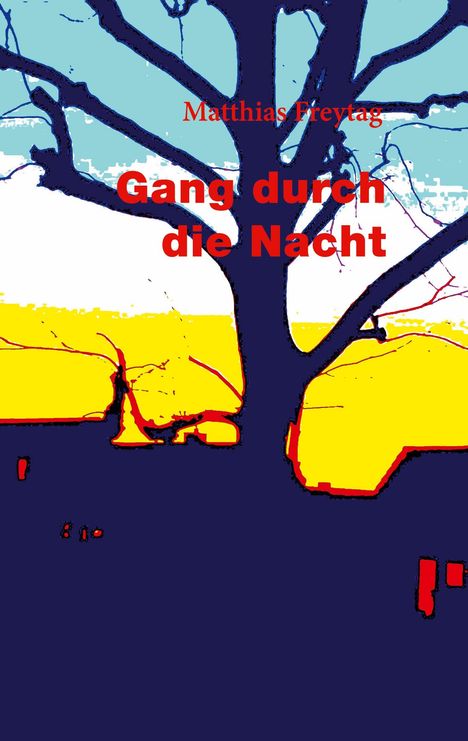 Matthias Freytag: Gang durch die Nacht, Buch