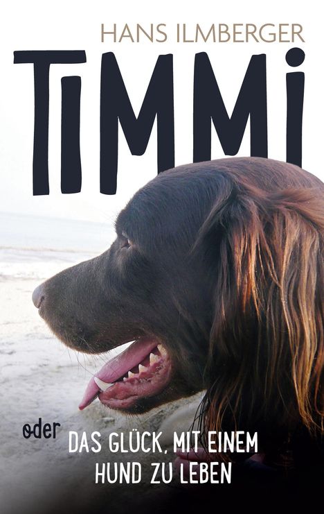 Hans Ilmberger: Timmi oder Das Glück, mit einem Hund zu leben, Buch