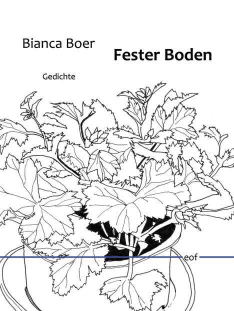 Bianca Boer: Fester Boden, Buch