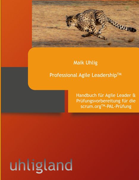 Maik Uhlig: Professional Agile Leadership, Buch